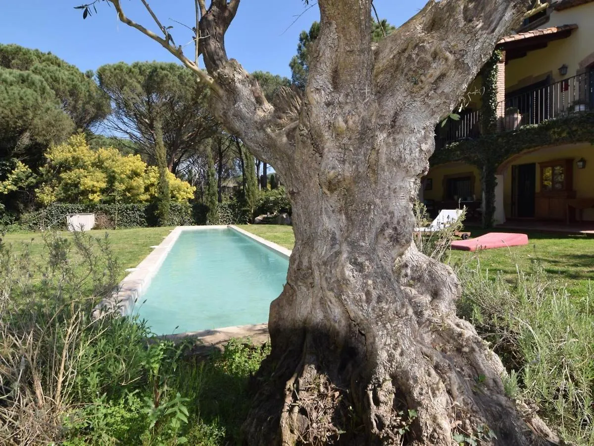 Swing Costabravasi Villa Santa Cristina d'Aro
